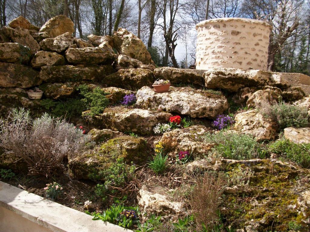 Chambre D'Hote Moulin Du Ru Aulnoy Екстериор снимка